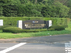 IMG_6681.JPG
