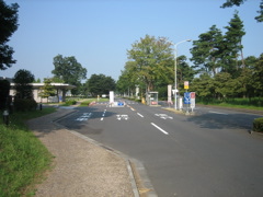 IMG_6682.JPG