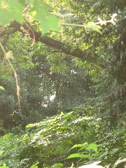 IMG_6684.JPG