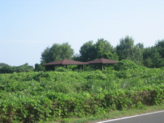 IMG_6768.JPG