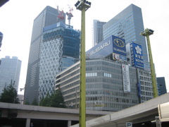 IMG_6782.JPG