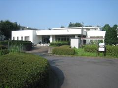 IMG_6689.JPG