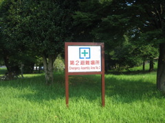 IMG_6690.JPG