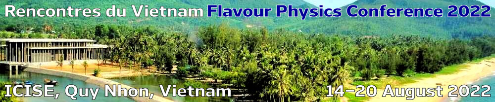 Vietnam Flavour Physics Conference 2022 graphic