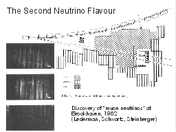 Slide 7