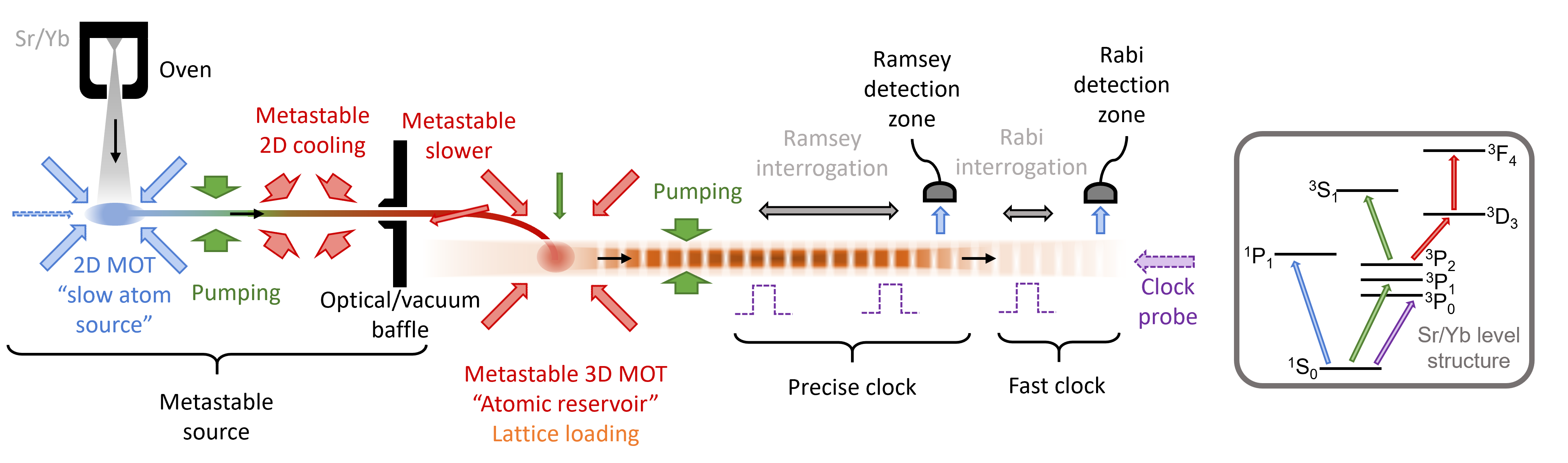 Ultra-precise, shock-resistant optical clocks