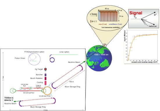 NF_Overview_with_detector.jpg